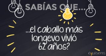 ¿Sabías que… el caballo más longevo vivió 62 años?