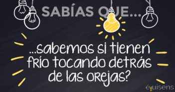 ¿Sabías que… sabemos si tienen frío tocando detrás de las orejas?