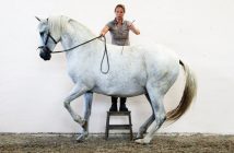 La fascinación del Academic Art of Riding