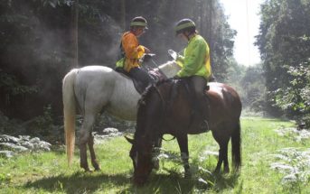 Oriéntate, adáptate y supera dificultades en el TREC