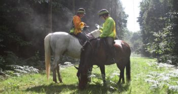 Oriéntate, adáptate y supera dificultades en el TREC