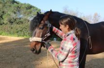 Trabajo pie a tierra. Ejercicios para desbloquear patrones de tensión y rigidez