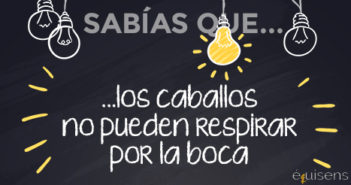 ¿Sabías que… los caballos no pueden respirar por la boca?