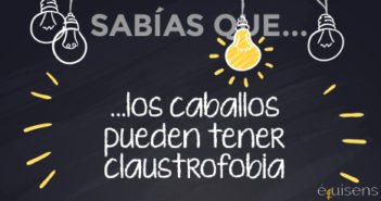 ¿Sabías que… los caballos pueden tener claustrofobia?