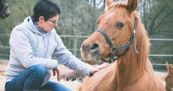 Programa Shanaan: rescate, recuperación y adopción