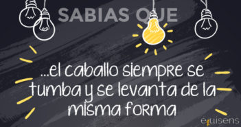 ¿Sabías que… el caballo siempre se tumba y se levanta de la misma forma?