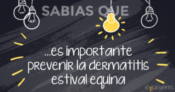 ¿Sabías que… es importante prevenir la dermatitis estival equina?