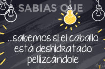 ¿Sabías que… sabemos si el caballo está deshidratado pellizcándole?