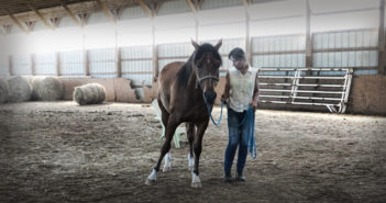 Questions to Leslie Desmond: How can you help a horse that is heavy on the forehand by using the “feel and release” approach?
