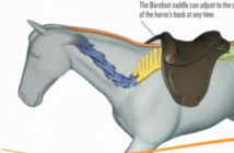 Monturas adaptables: Nueva generación de monturas adaptables al dorso y a los movimientos del caballo