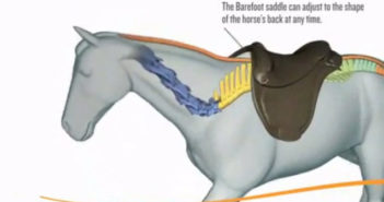 Monturas adaptables: Nueva generación de monturas adaptables al dorso y a los movimientos del caballo