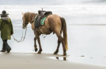 Equitación Centrada – El caballo refleja quienes somos