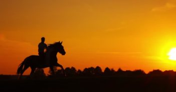 El lenguaje corporal en la equitación