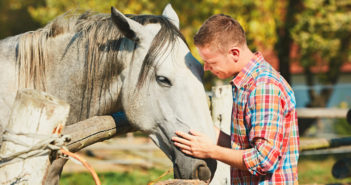 Los caballos preferirán una actitud sumisa a una dominante