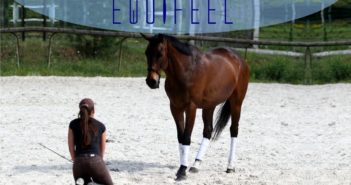 Equifeel, una disciplina poco conocida en España