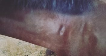El dedo de Alá o la punta de lanza