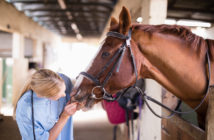 Patologías que pueden asociarse al manejo y a la equitación