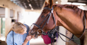 Patologías que pueden asociarse al manejo y a la equitación
