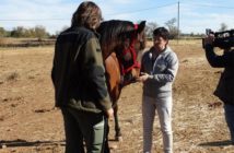 FAADA presenta el Protocolo de Inspección y Rescate de Équidos