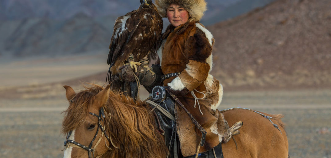 La domesticación del caballo permitió la expansión e intercambio entre