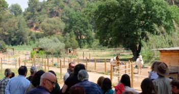 FAADA, ADE y DAINA presentan tres propuestas de bienestar para los équidos