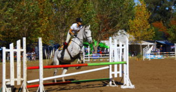 Prevención de lesiones en el caballo II parte: impacto económico