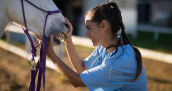 Las características dentarias de los caballos