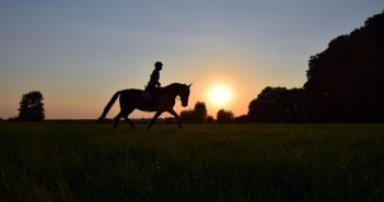 Equitación Centrada: El Trote