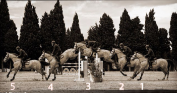 ¿Cómo salta un caballo? Las 5 fases del salto de obstáculos