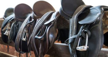 Cuatro puntos básicos para saber si la montura se adapta al caballo