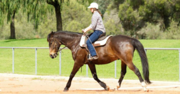 ¿Estamos entrenando a nuestros caballos más de lo necesario?