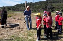 La Federación Catalana lleva la hípica a las escuelas