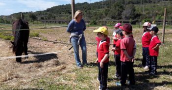 La Federación Catalana lleva la hípica a las escuelas