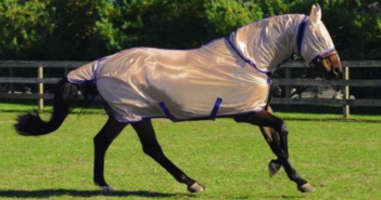 ¿Nos excedemos a la hora de abrigar a nuestros caballos?