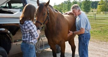 La influencia del vínculo entre personas y caballos sobre el estrés y el comportamiento