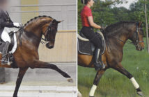 «Leg mover» y «back mover», ¿qué significa?