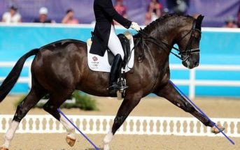 Cómo el asiento influye en la simetría del movimiento del caballo