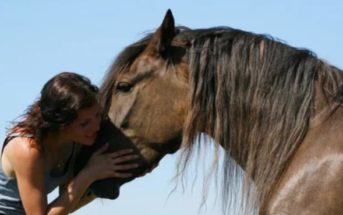 Los caballos distinguen emociones en la vocalización de las personas