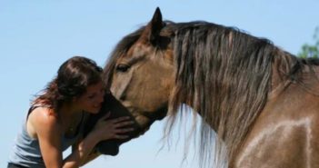 Los caballos distinguen emociones en la vocalización de las personas
