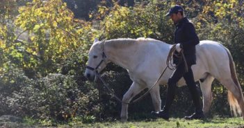 Entrenar a tu caballo no es lo mas importante