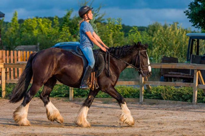 Jinete centrado sólo en hacer avanzar al caballo