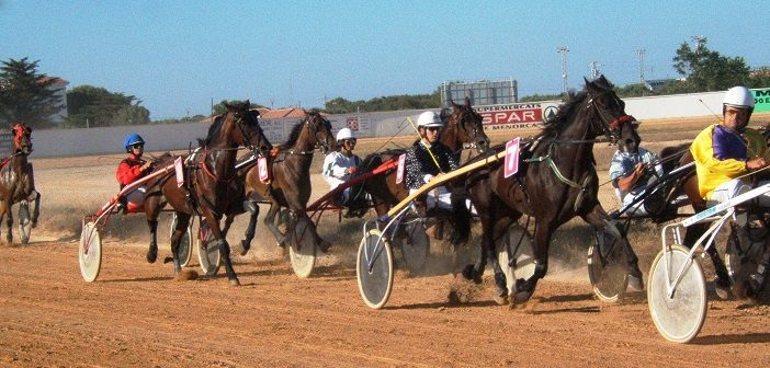 Carreras de trotones