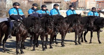 Lanzan un crowdfunding para fundar la primera reserva natural destinada a perros y caballos policías jubilados en Girona