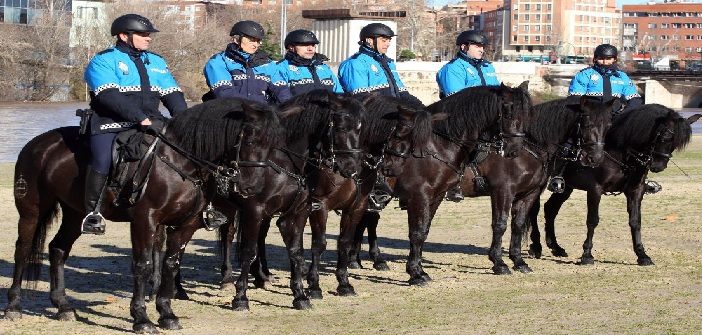 Lanzan un crowdfunding para fundar la primera reserva natural destinada a perros y caballos policías jubilados en Girona