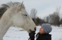¿Te has preguntado alguna vez si les gustamos a los caballos?