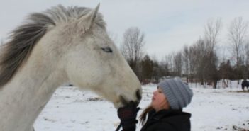 ¿Te has preguntado alguna vez si les gustamos a los caballos?