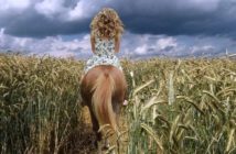 Se está creando una base de datos sobre comportamiento equino