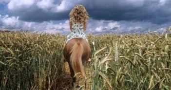 Se está creando una base de datos sobre comportamiento equino
