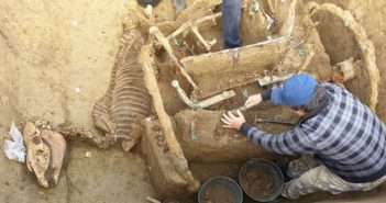 Se encuentran en Croacia los fósiles de dos caballos enterrados hace 1800 años junto a un carro romano