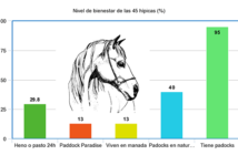 Estudio del índice de bienestar equino en centros de Cataluña